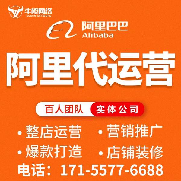 汕尾电商代运营