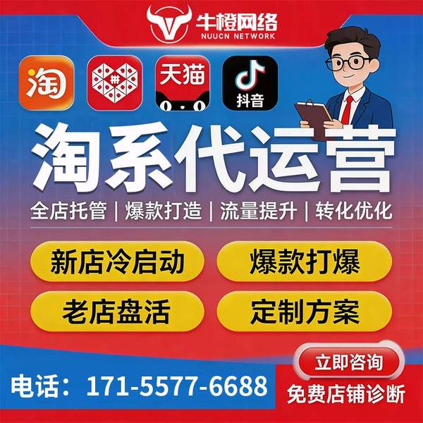 汕尾电商代运营
