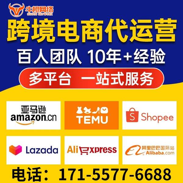 汕尾电商代运营
