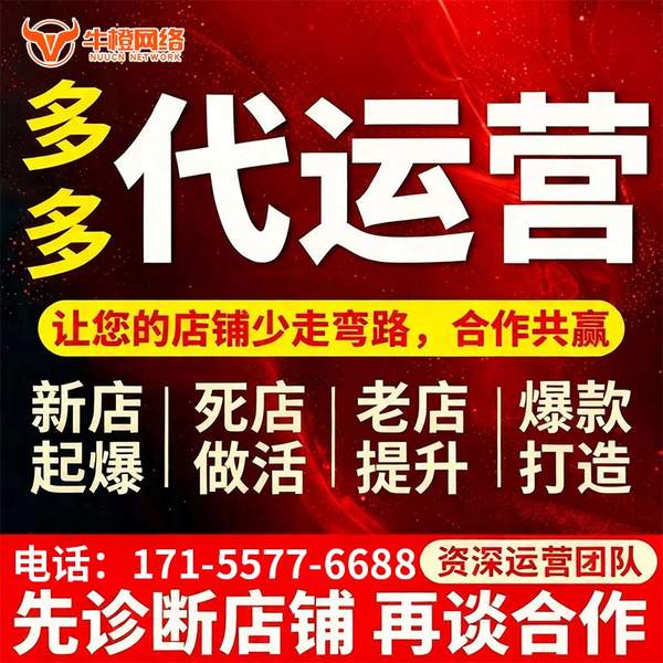 汕尾电商代运营