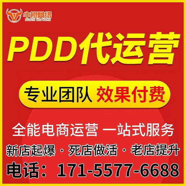 汕尾电商代运营