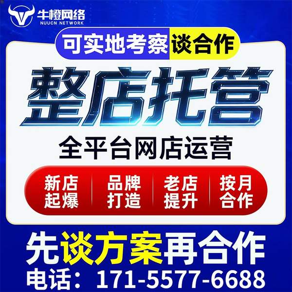 汕尾电商代运营
