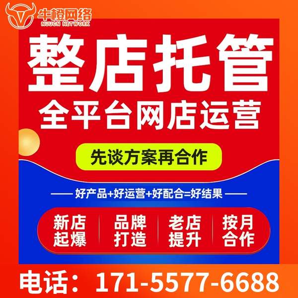 汕尾电商代运营