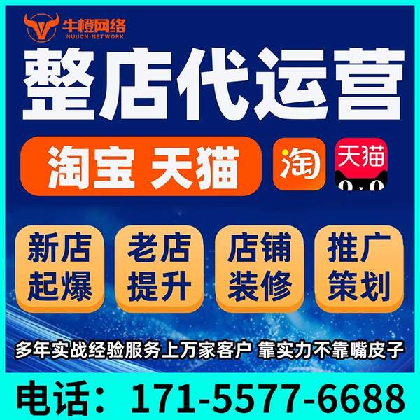 汕尾电商代运营