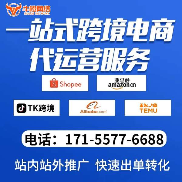 汕尾电商代运营