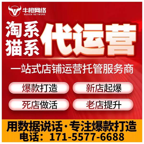汕尾电商代运营